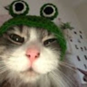 Meet your Posher, Pelli